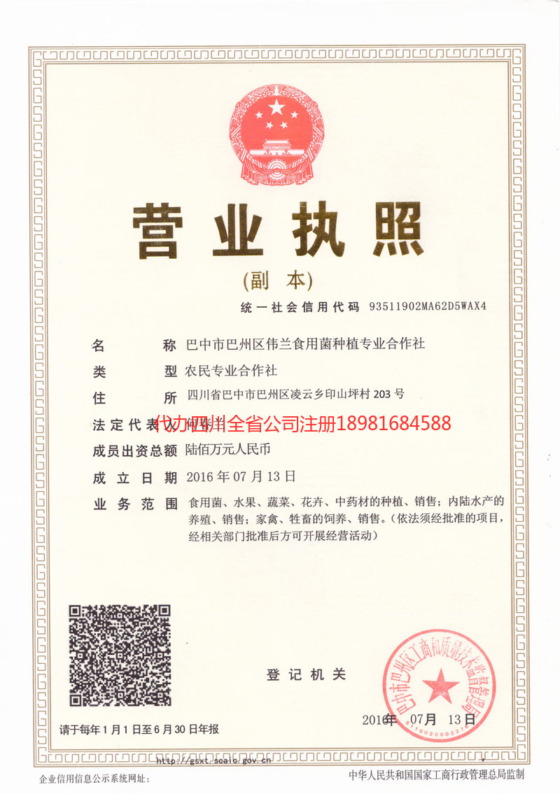 古蔺古蔺伟兰食用菌种植专业合作社